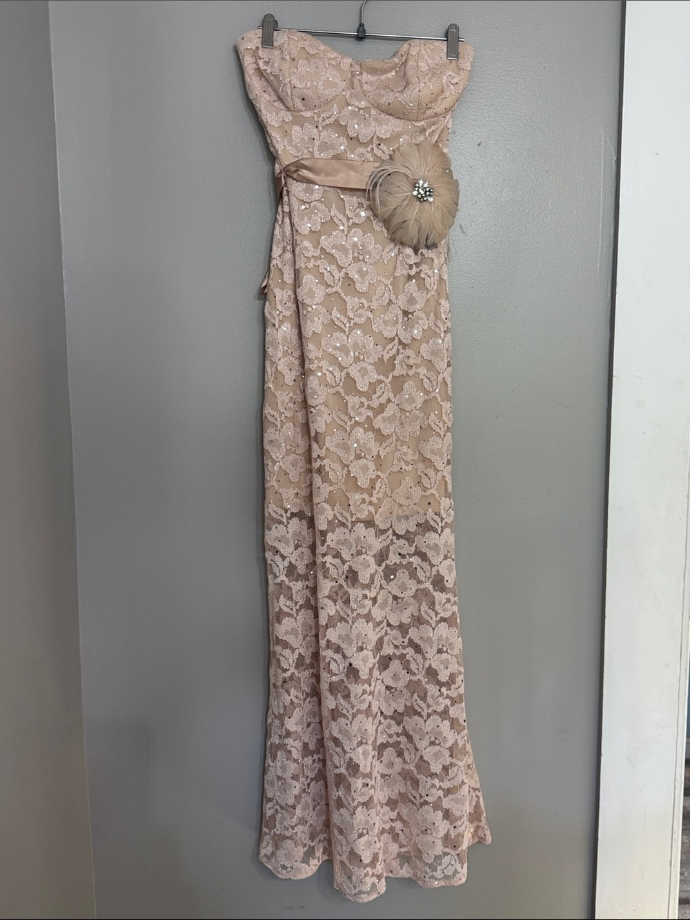 Deb Strapless Blush Pink Lace Gown with Satin Sash